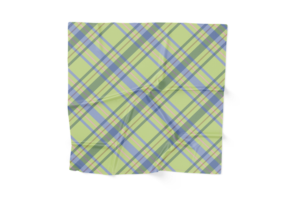 SCF-VTD-BXS-S-SS26-02