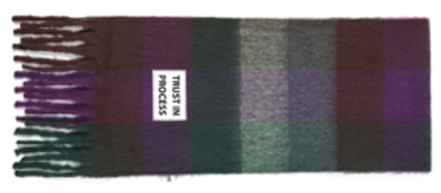 VTD-SCF-RPL-C11 TRUST IN PROCESS